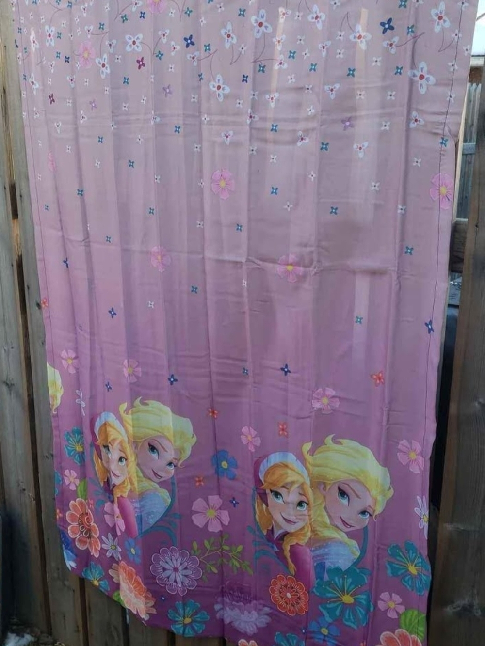 Disney Frozen Floral Curtain Panel